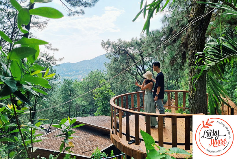 Chọn view đẹp, lãng mạn ở Lucky House rừng thông