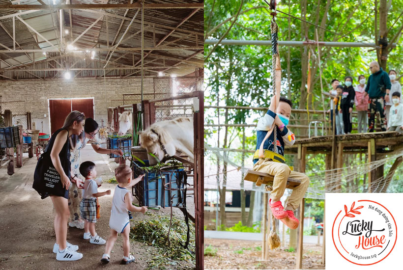 Nông trại Detrang Farm, Ba Vì