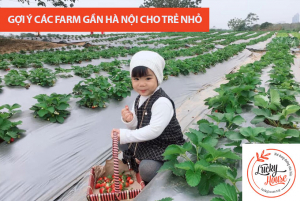 Gợi ý các farm gần Hà Nội cho trẻ nhỏ