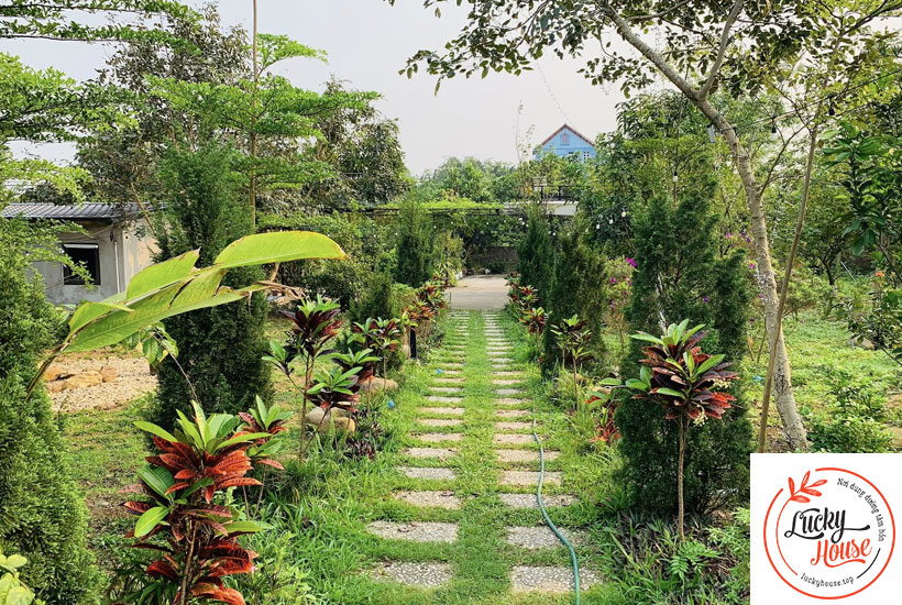 Chuỗi villa/homestay xanh mát giữa rừng thông, cạnh hồ nước